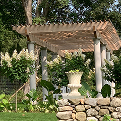 Pergola